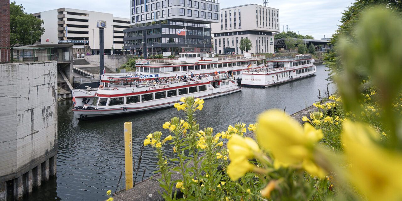 Die Schiffe der weißen Flotte