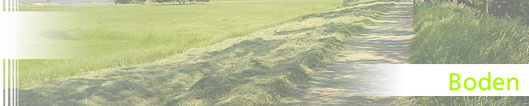 Logo: Bodenschutz