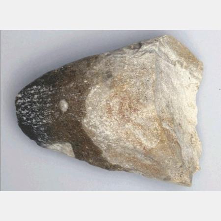 Bruchstück eines jungsteinzeitlichen Hornsteinbeile