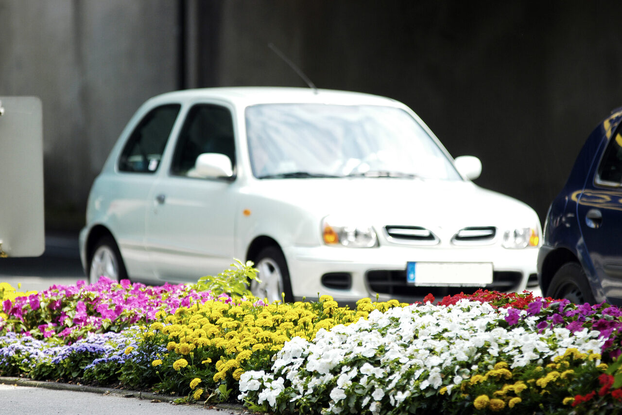 weißes kleines Auto
