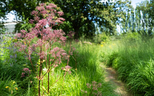 Botanischer Garten in Hamborn