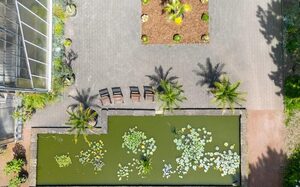 Botanischer Garten in Hamborn