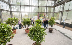 Gruppe von Menschen in einem hellen Gewächshaus