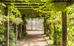 bewachsene Holzarkaden und Weg