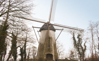 Windmühle in Herbstlandschaft