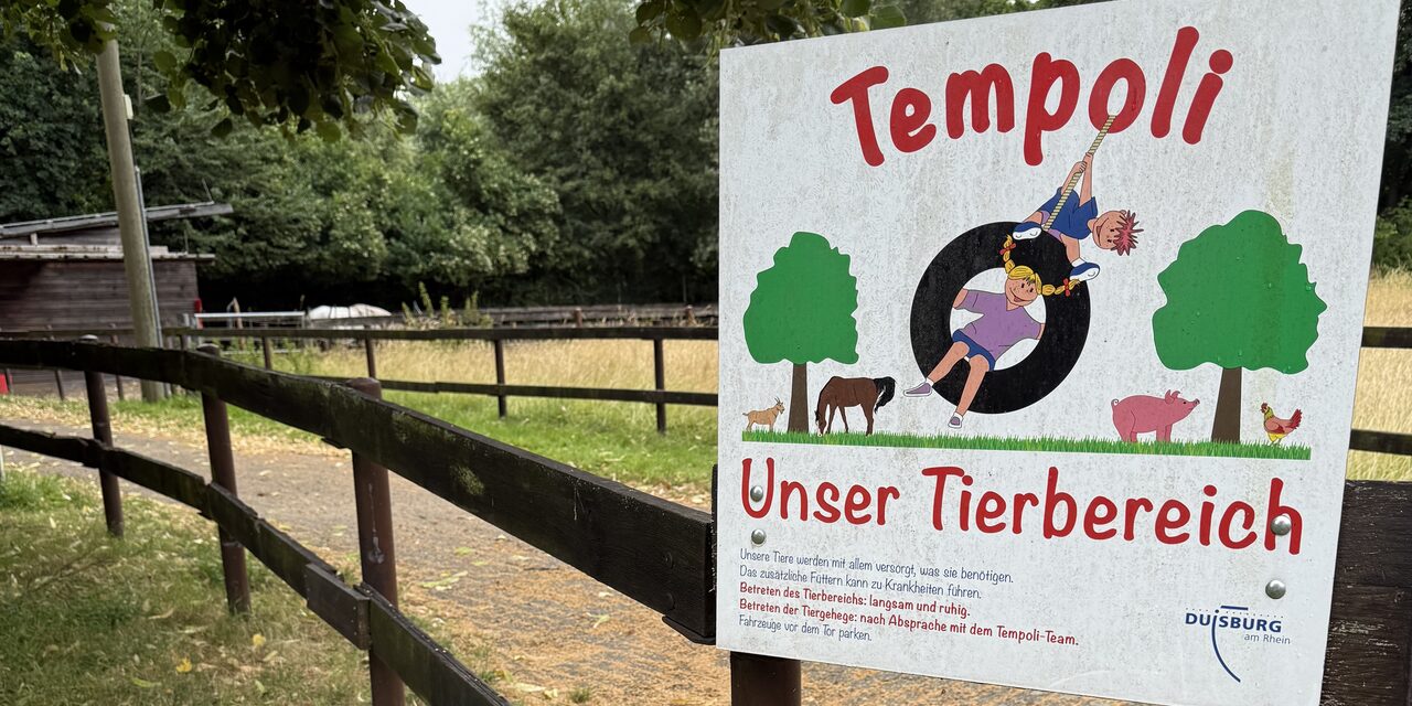 Schild Tempoli