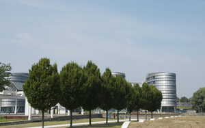 Baumreihe im Innehafen