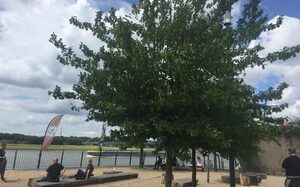 Rheinpark Strandpromenade